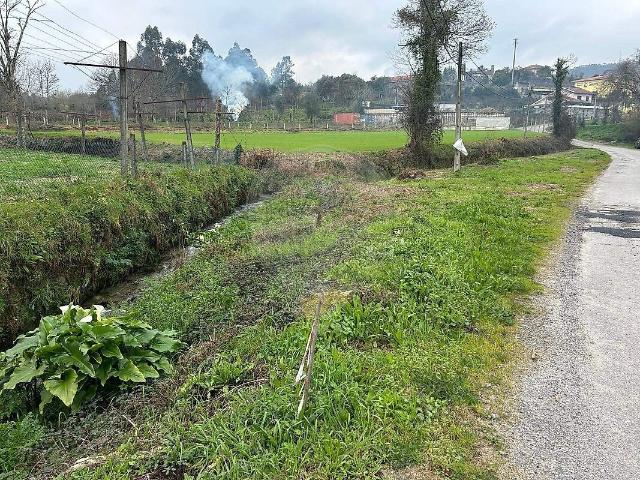 Terreno venda em Pico de Regalados, Gondiães e Mós, Vila Verde