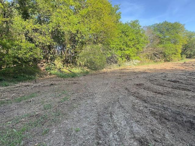 Terreno venda em Pico, Vila Verde