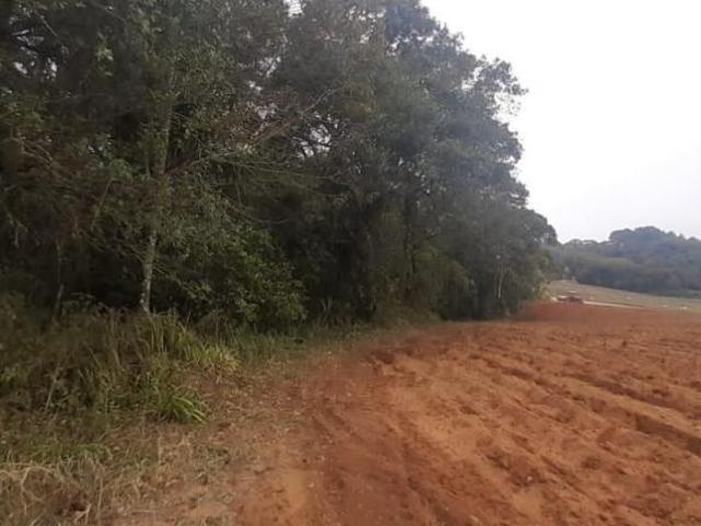 Terreno venda em Região Imediata de Sorocaba, Região Metropolitana de Sorocaba