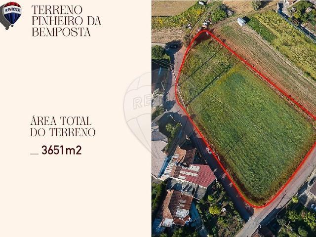 Terreno venda em Pinheiro da Bemposta, Travanca e Palmaz, Oliveira de Azeméis