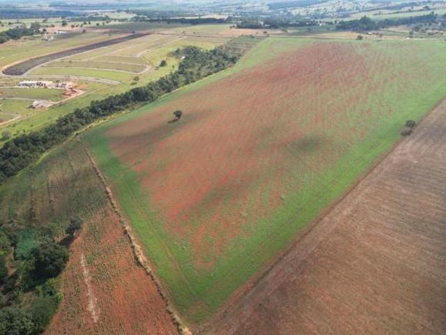 Terreno venda em Piracanjuba, Região Geográfica Intermediária de Itumbiara