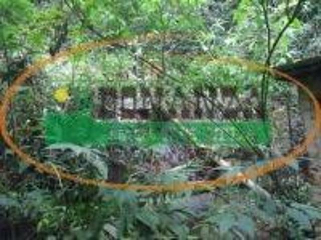 Terreno venda em Região Geográfica Imediata de Conselheiro Lafaiete, Piranga