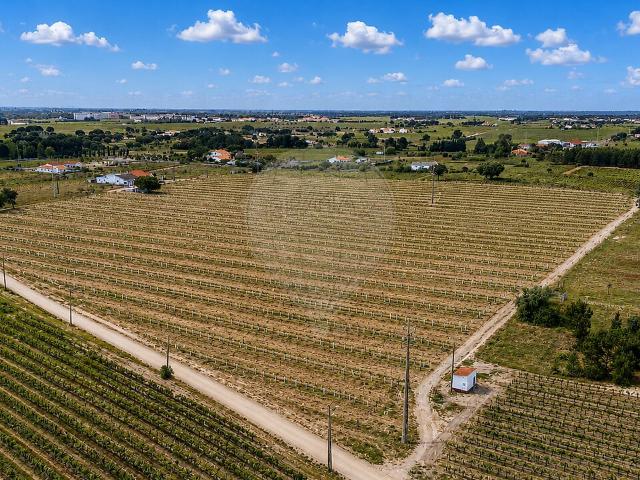 Terreno venda em Poceirão e Marateca, Palmela