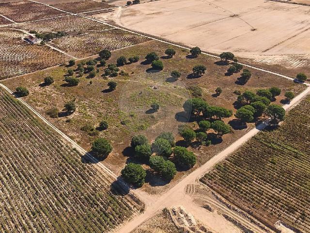 Terreno venda em Poceirão e Marateca, Palmela