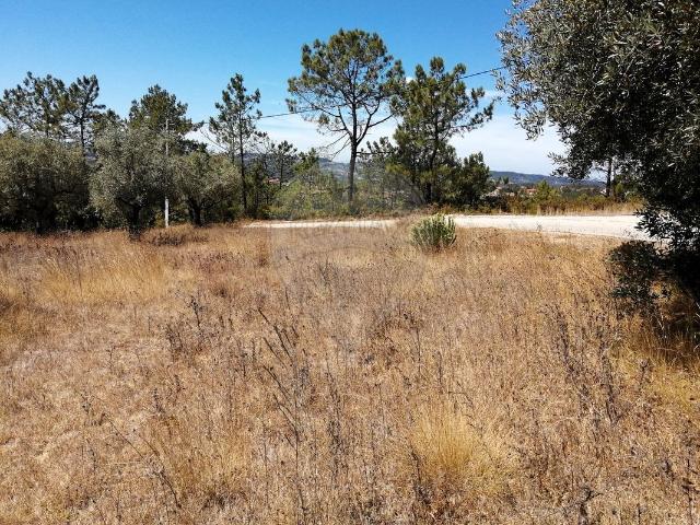 Terreno venda em Pombal, Vila Cã