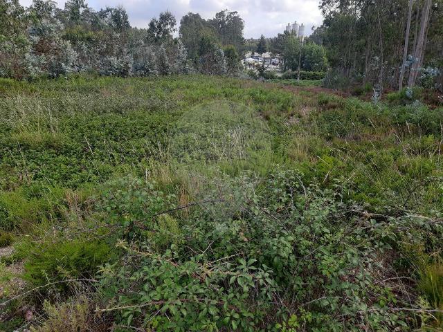 Terreno venda em Pombal, Leiria