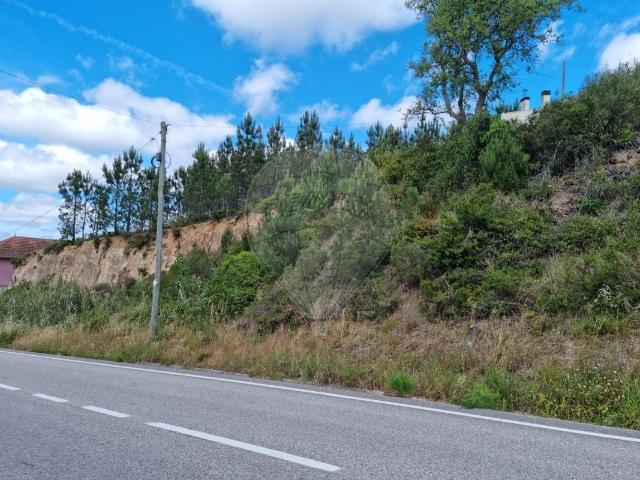 Terreno venda em Pombal, Louriçal