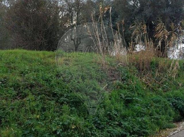 Terreno venda em Pombal, São Simão De Litém
