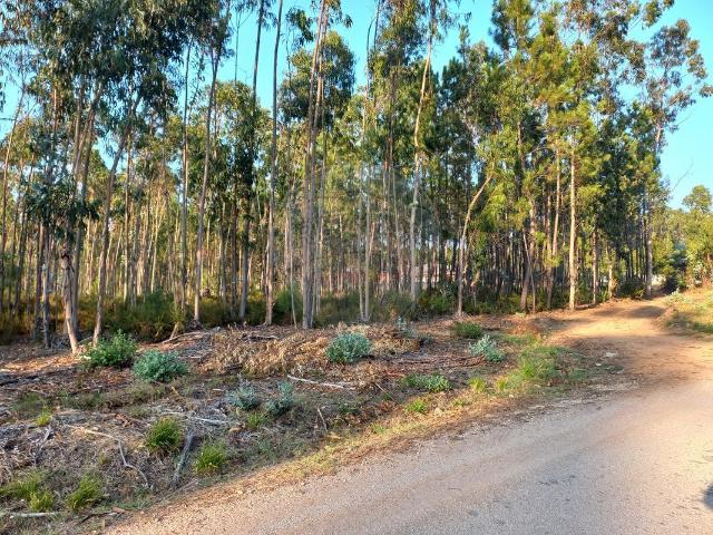 Terreno venda em Pombal, Meirinhas