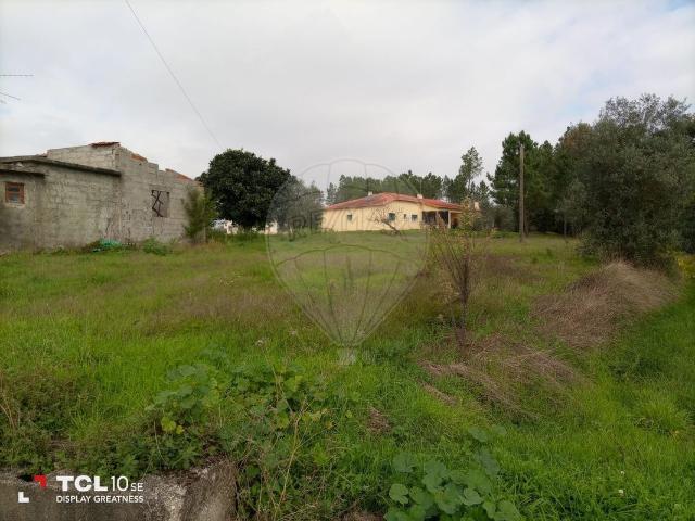 Terreno venda em Pombal, Pelariga