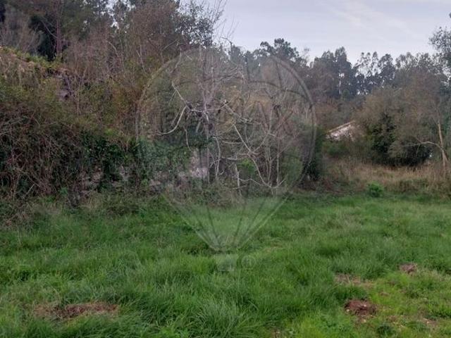 Terreno venda em Pombal, Leiria