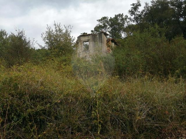 Terreno venda em Pombal, Leiria