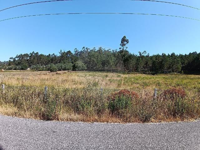 Terreno venda em Pombal, Leiria