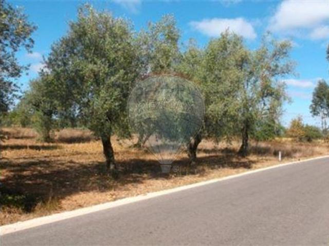 Terreno venda em Pombal, Leiria