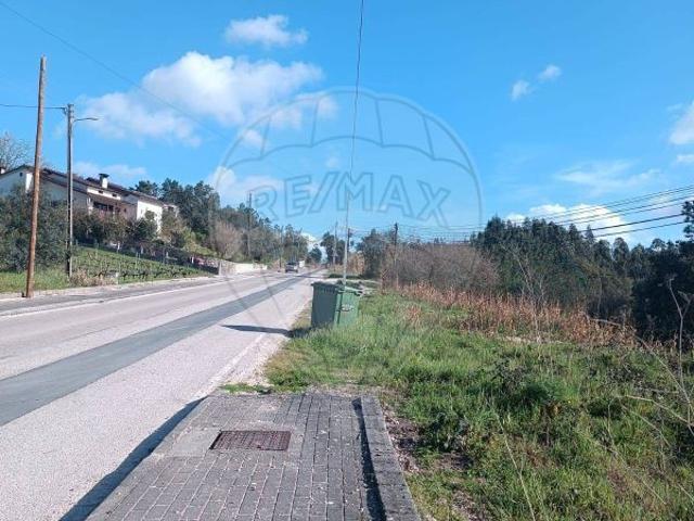 Terreno venda em Pombal, Almagreira