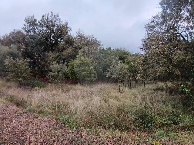 Terreno venda em Pombal, Abiul