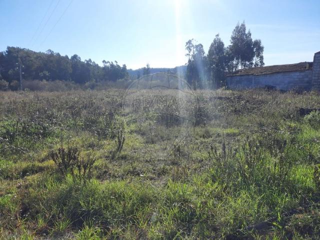 Terreno venda em Pombal, Almagreira