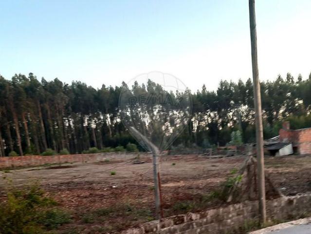 Terreno venda em Pombal, Leiria