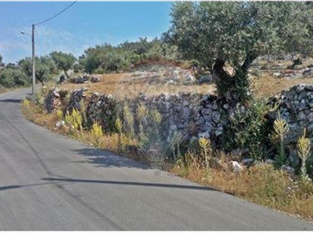 Terreno venda em Pombal, Pelariga