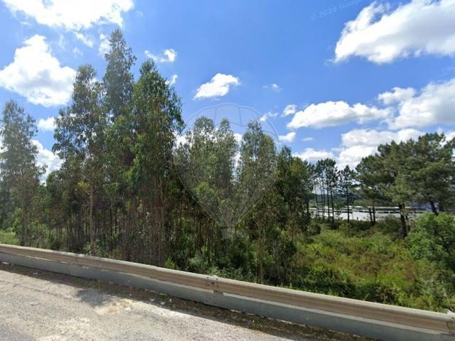 Terreno venda em Pombal, Pelariga