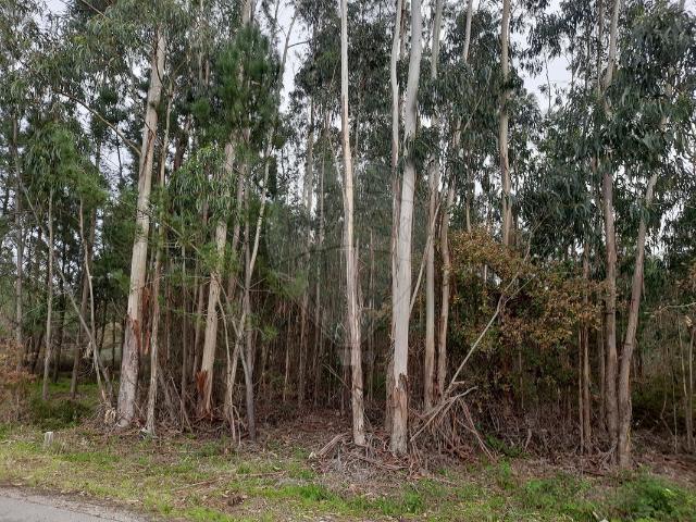 Terreno venda em Pombal, Leiria