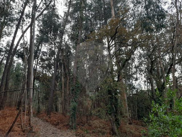 Terreno venda em Pombal, Leiria