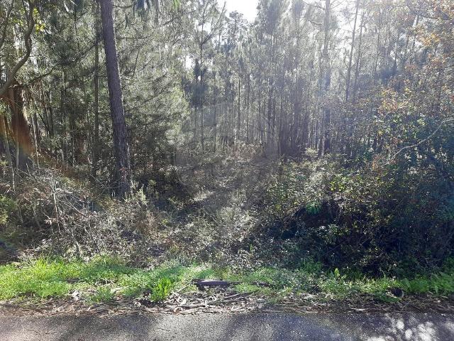Terreno venda em Pombal, Leiria
