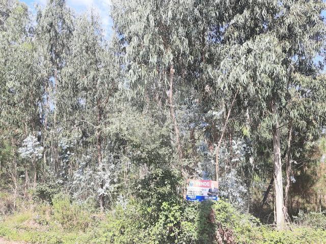 Terreno venda em Pombal, Leiria