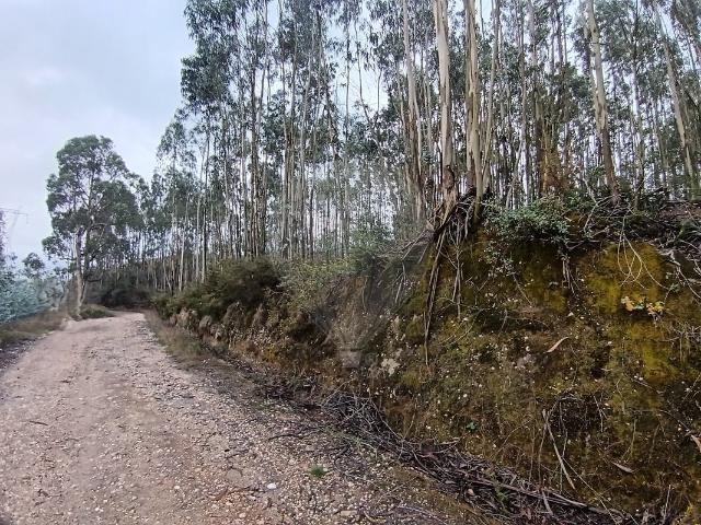 Terreno venda em Pombal, Leiria