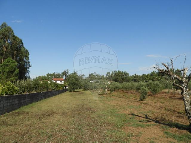 Terreno venda em Pombal, Leiria