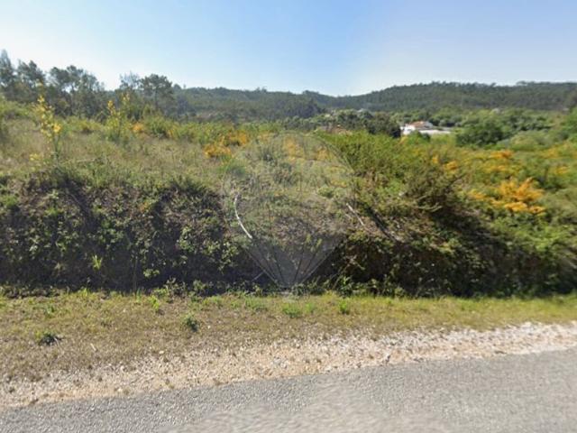 Terreno venda em Pombal, Mata Mourisca