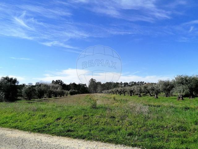 Terreno venda em Pombal, Leiria