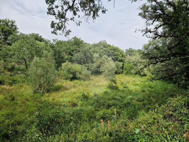 Terreno venda em Pombal, Abiul