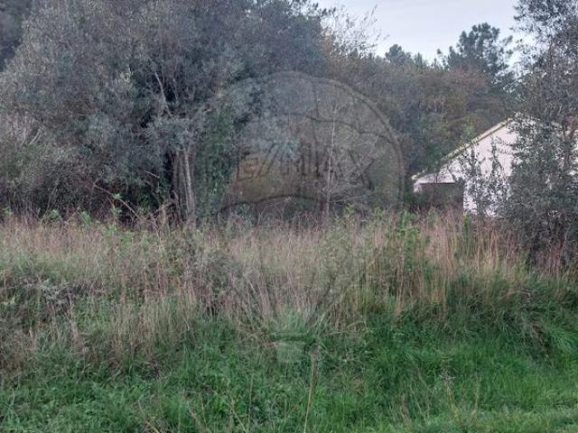 Terreno venda em Pombal, Leiria