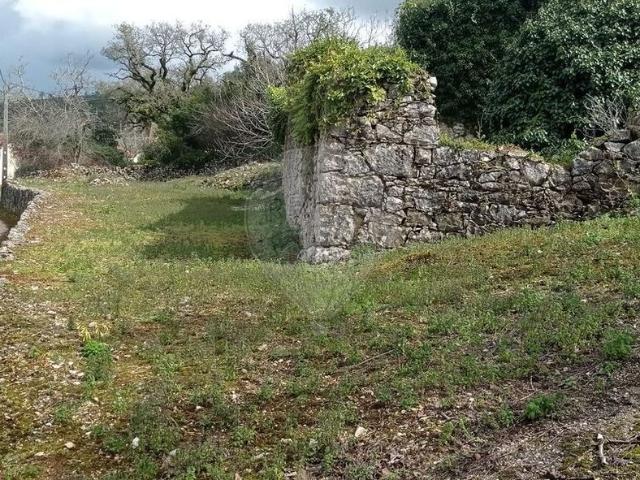 Terreno venda em Pombal, Pelariga