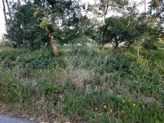 Terreno venda em Pombal, Leiria