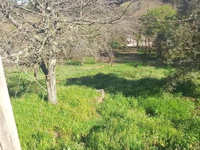 Terreno venda em Pombal, Leiria