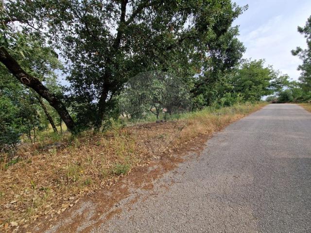 Terreno venda em Pombal, Leiria