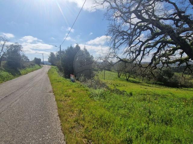 Terreno venda em Pombal, Leiria
