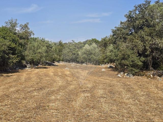 Terreno venda em Pombal, Abiul