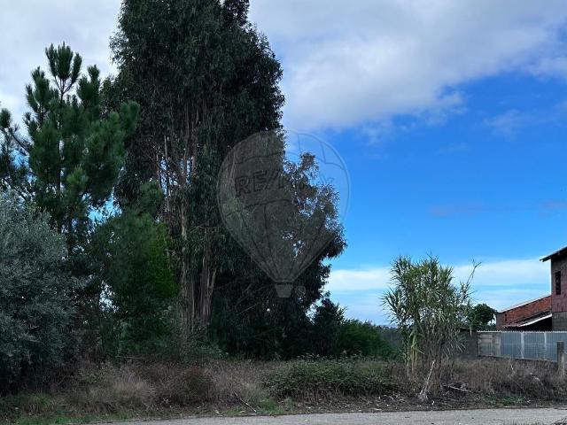 Terreno venda em Pombal, Redinha