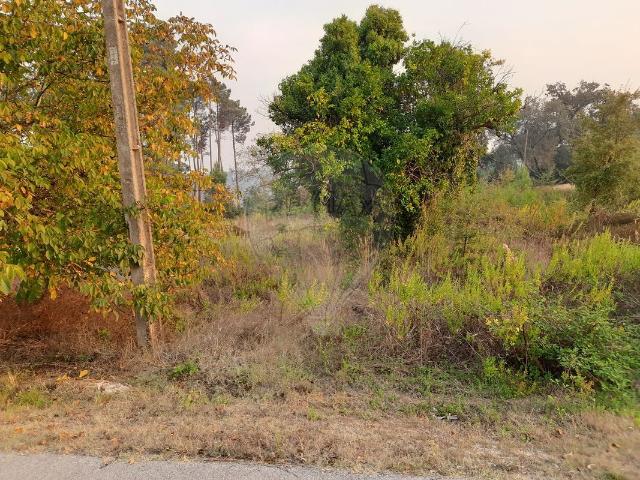 Terreno venda em Pombal, Leiria