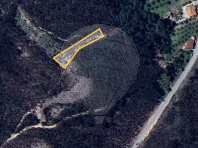 Terreno venda em Pombal, Carnide