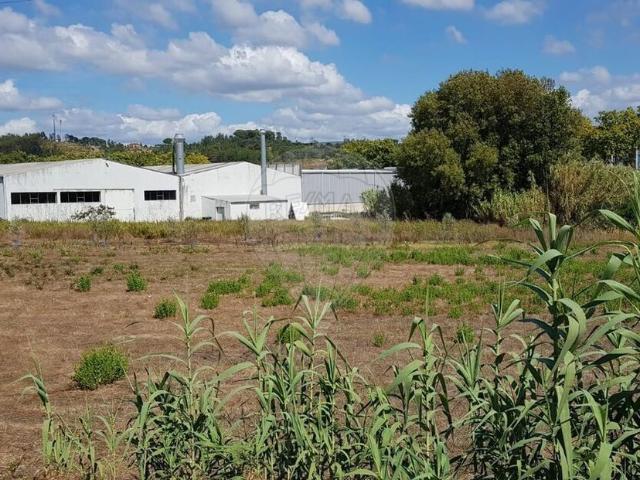 Terreno venda em Pombal, Leiria
