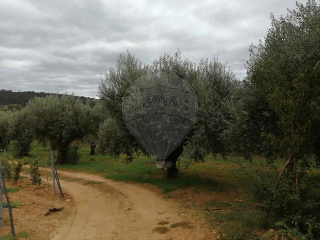Terreno venda em Pombal, Vila Cã