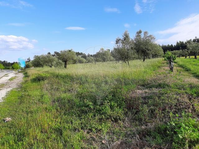 Terreno venda em Pombal, Leiria