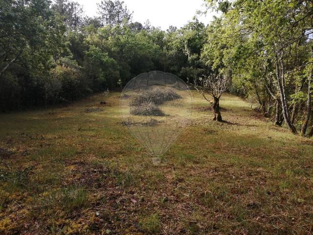 Terreno venda em Pombal, Abiul