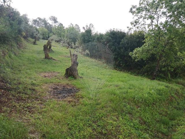 Terreno venda em Pombal, Abiul