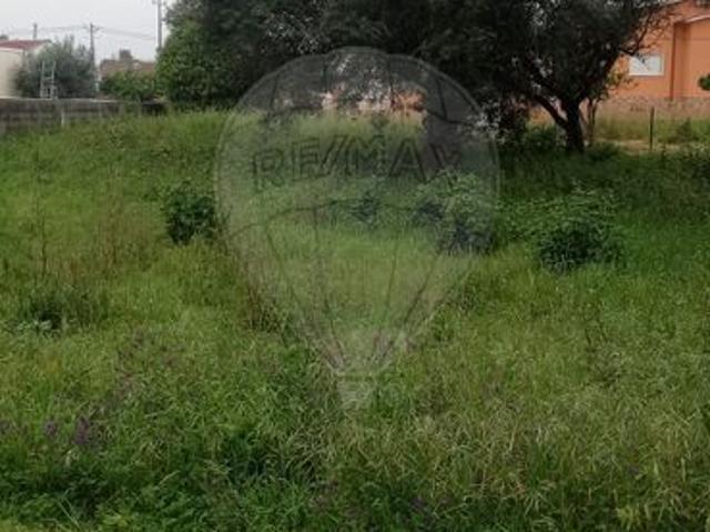 Terreno venda em Pombal, Leiria