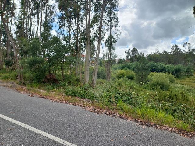 Terreno venda em Pombal, Almagreira